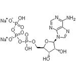 Adenosine 5'-triphosphate disodium salt,ATP-Na2; 5'-ATP-Na2 pictures