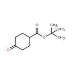 Cyclohexanecarboxylicacid ,4-oxo-,1,1-Dimethylethyl ester pictures