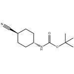 trans-1-(Boc-amino)-4-cyanocyclohexane