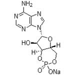 Adenosine 3',5'-cyclic monophosphate sodium salt；Cyclic AMP Na; 3:5-CAMP Na; 3',5'-CYCLIC AMP Na pictures