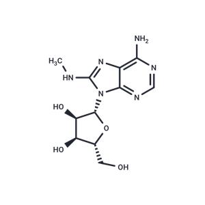 8-Methyaminoadenosine