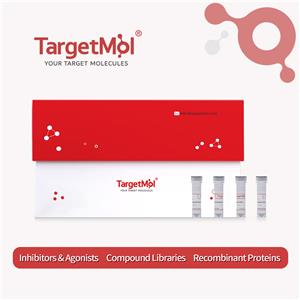 POMGNT1 Protein, Human, Recombinant (His)