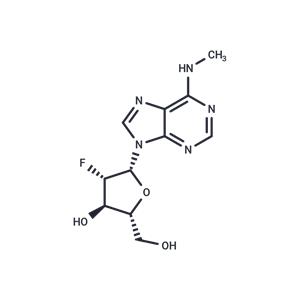 2’-Fluoro-2’-deoxy-N6-methylarabinoadenosine