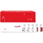 CD27/TNFRSF7 Protein, Human, Recombinant (rFc) pictures