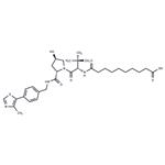 VH 032 amide-alkylC8-acid pictures