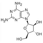 2,6-DIAMINOPURINE ARABINOSIDE