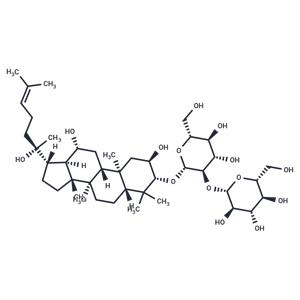 Gypenoside L