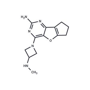 H4R antagonist 2