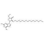 2’-O-Hexadecanyl-2-aminoadenosine pictures