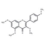 Tetramethylkaempferol pictures