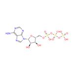 56-65-5 Adenosine triphosphate