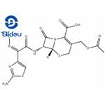 63527-52-6 Cefotaxime