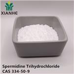 334-50-9 Spermidine Trihydrochloride