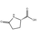 98-79-3 L-Pyroglutamic acid