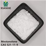 521-11-9 Mestanolone