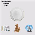 540-69-2 Ammonium formate