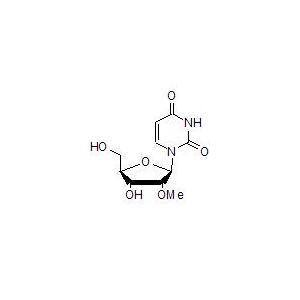 2’-O-Methyl uridine