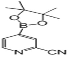 2-氰基-4-吡啶硼酸频哪醇