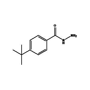 对叔丁基苯甲酰肼