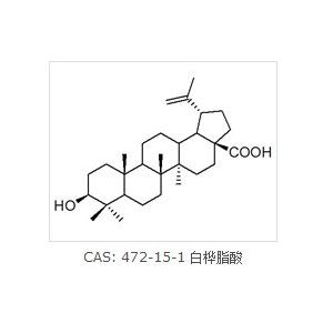 白桦脂酸