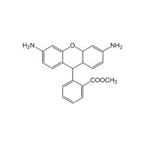 二氢罗丹明123