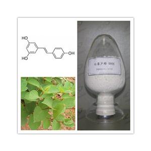 白藜芦醇提取物
