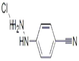 4-氰基苯肼.盐酸盐