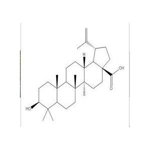 白桦脂酸 98%