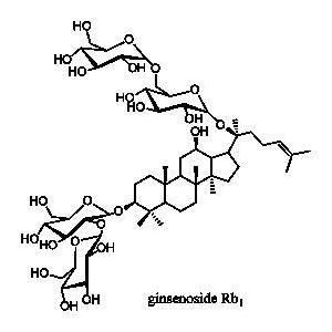 人参皂苷Rb1
