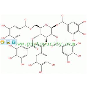 1,2,3,4,6-O-五没食子酰葡萄糖