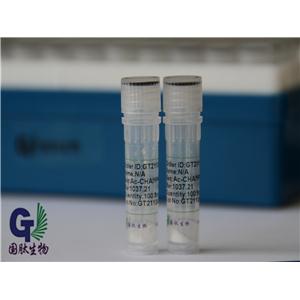 [Gln11]-Amyloid β-Protein (1-28