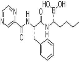 Bortezomib