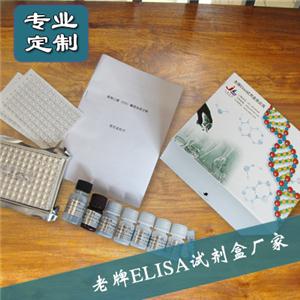 人N端中段骨钙素(N-MID-OT)ELISA试剂盒