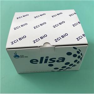 人17羟皮质类固醇(17-OHCS)ELISA试剂盒