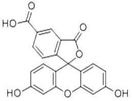 5-羧基荧光