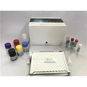 710001山羊睾酮（T）定量检测试剂盒（ELISA）