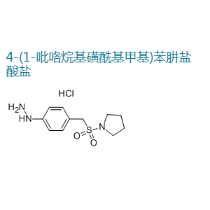 4-(1-吡咯烷基磺酰基甲基)苯肼盐酸盐