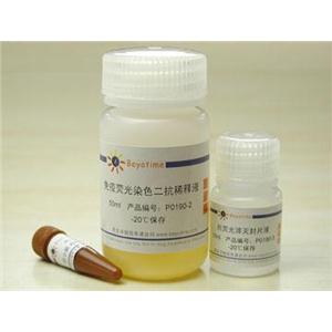 免疫荧光染色试剂盒-抗小鼠Alexa Fluor 555