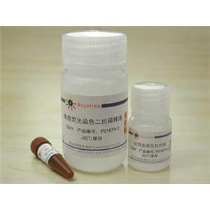 免疫荧光染色试剂盒-抗小鼠AMCA