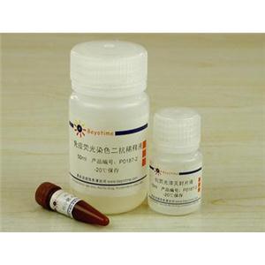 免疫荧光染色试剂盒-抗小鼠Alexa Fluor350