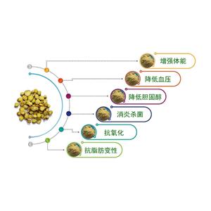 黄芩提取物