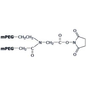 Y-shape PEG NHS Ester