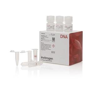 PureLink Genomic Plant DNA Purification Kit