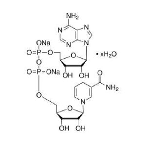 烟酰胺腺嘌呤二核苷酸（还原型）