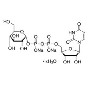 尿苷-5'-二磷酸葡萄糖二钠盐