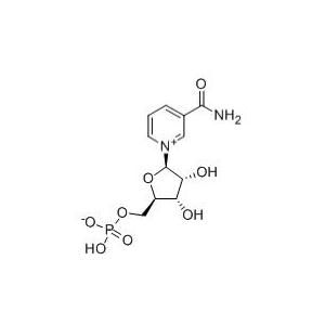 烟酰胺单核苷酸