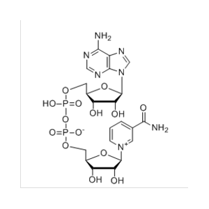 β-烟酰胺腺嘌呤二核苷酸