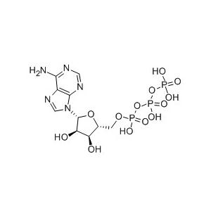 5'-三磷酸腺苷