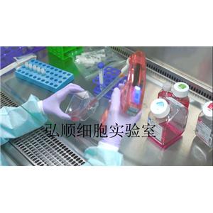 NOMO-1 Cell；人白血病细胞