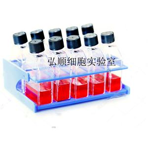 MDA-MB-415 Cells：人乳腺腺癌细胞系